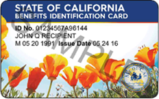 California Benefits Identification Card sample with poppy flowers